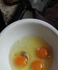 �ҽ���ȥ�˳��򼦵����򿪵����������������������    ��