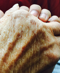 �巼ի����һ�뷹 ����������100�������