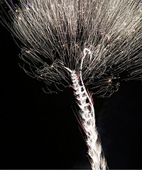 ����֧���Ŵ��̻�����