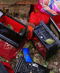 ȱ�£�������������6���˼����ȫ�������ٿ���