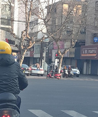 ���˸��죡�����������У��������Ȼſ�ڳ������棡