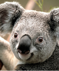 ҵԸ ְҽԺ ҸԸºͿʵĹ