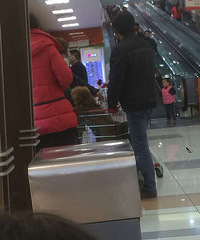 ������ѹ����ڹ��ﳵ��㲻�������