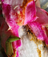 ˮ������Ļ�����ȫ����