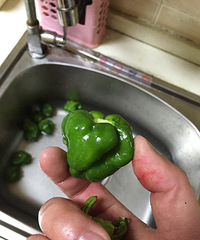 ���ָ����е��ཷ������ʳ��