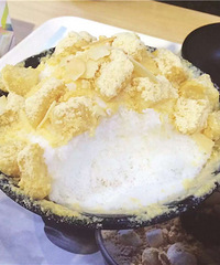 ѩ����ζ�� �ֲ��˵ĺ���û���������ź�