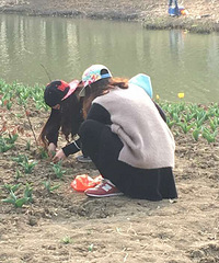 ��ֲ��԰�����Ĳɻ���������Ź�����������