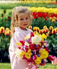 �����ѹ�ע����19¥΢�� �ͻ�չ��Ʊ