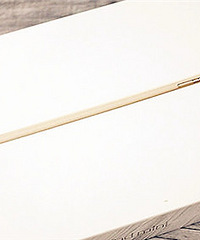 3.13��������� ����19¥���׻��ֳ�