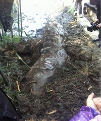 �ͳ����Ϲϵ���ˮ���̣��ڳ����ض������Ժ�