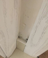 ������һ�׷��ӣ��ͱ��⹫˾��ĲҲ����£�����