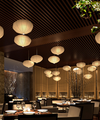 һԼ᲻֪ȥԷ вҸѡ