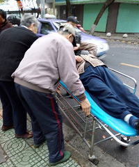 ���������ϲ�ˤ�������˷׷�Ԯ��