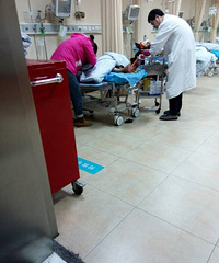 �����գ����˱����𺣣���ů������׷�Ԯ�֡�