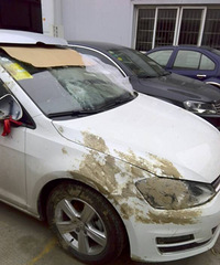 ǰ����19¥�Ͽ����ķ��˸��׳����һ�����ڸ߶���