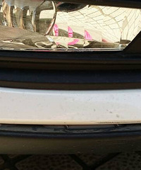 ��Ұ�æ����������ĸ���˹�������������