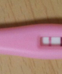 ����Ķ�̥�����ռǣ�3.31��ĩ�Σ�5.5��Ԥ���ڣ�