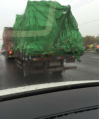 ���ֳ�����Ϊʲô��ץ�أ�