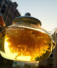 ����������������絽��