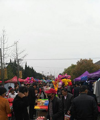 ��������ᣬ��ɽ�˺�