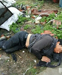 ��ɷ����֤�и����ͱ��ը��������������