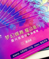 【福利】“嘉兴首届珍稀蝴蝶展”来啦,家庭套票免费送!!!