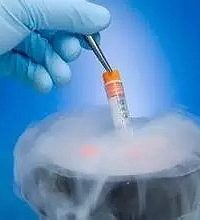 ���˫��̥�����ˣ����Ҫ������������7�꣡��ô�����ģ�