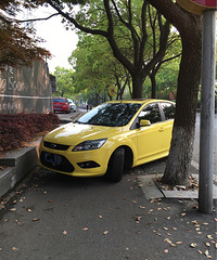 ͣ����ͣ�����벻Ҫ��·���������ٸ����Ƿǻ�����������