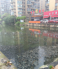 �������ֳ�ˮ��