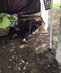 ͩ���������Ӿ����Լ�ĸ��ס��¶�������