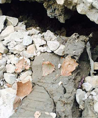 ����ĳ��װ��¥���췿�ӣ��˻��󳵰���·��ѹ����