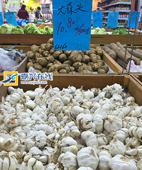 ������ݡ������������������д���۸�ߴ�21.6ÿ����