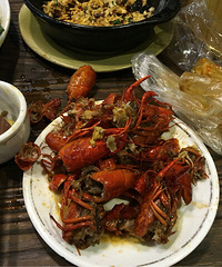 �����е�С�����ĵ�һ�γԷ�����