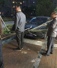 ���˹���������!