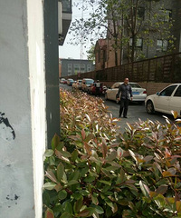 �º�ͣ����б����Ū�ý�����