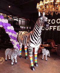 ����+Zoo coffee