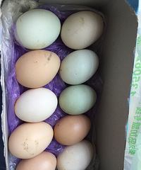 �������������������� 20Ԫ9�� ����