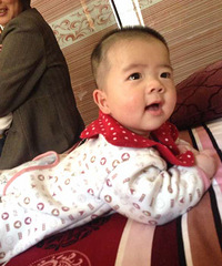 ������˫��̥�ֵ� ������