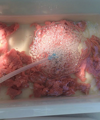 ����Խ�㹫԰������~����~