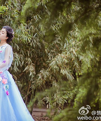 �������ա����ɭ�֡��ĸϽ� ����Ŷ