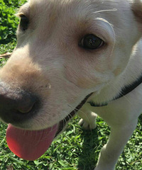 ����ű��������ͷ������ǲ��ǣ�ɳ����������