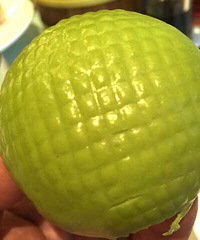 ����ʲô������ζŶ~