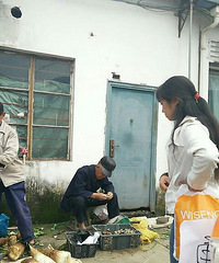 ������������������