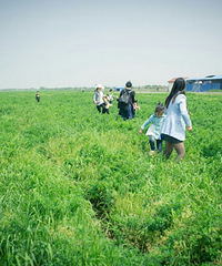 ����������ȥ�ġ�+ιС��ţժ��ݮ��ũׯ