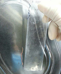 ë���Ȼ������һŮ�� ��Ȼ�ȳ�6�����