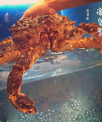 �߱Ƹ�Ժ��� ������ɱ 80Ԫ�������������