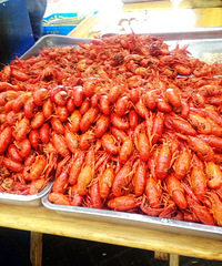 ���㣡С��Ϻ�Գ�С��ҡ��