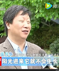 "吓死宝宝了!嘉兴一女子家里漏水,墙角竟然长了好几只“茶树菇”