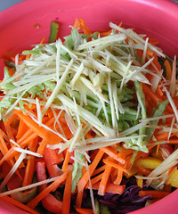 ���㽭��˼�е�˧�署���������˵�������