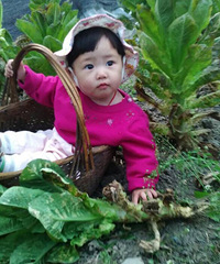 �����ҵ������� ����������